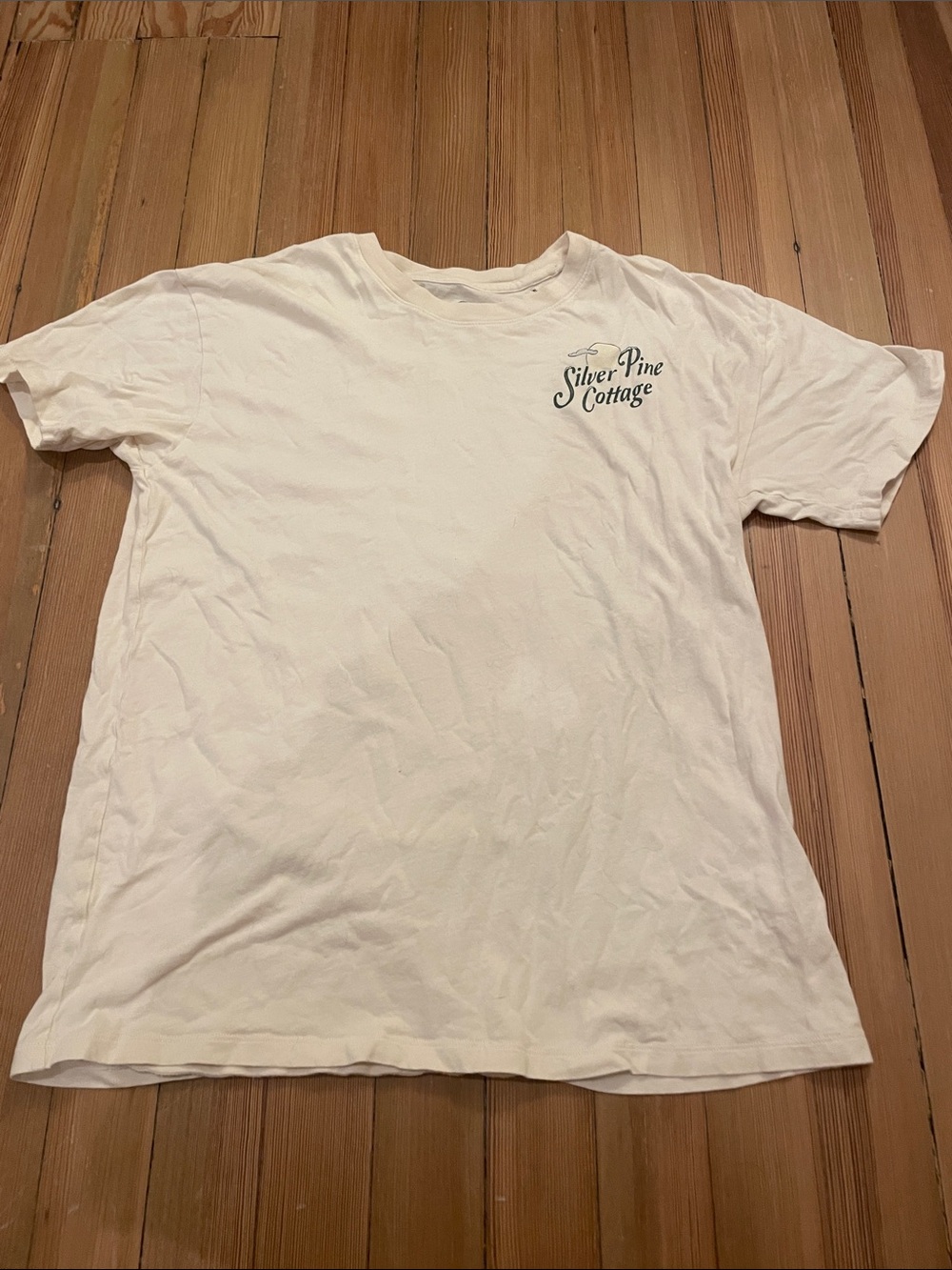 Men’s White Logo T-Shirt from Hollister